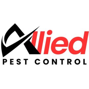 Best Pest Control Company in Dubai